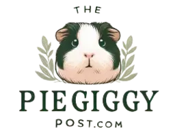 ThePiggyPost.com Logo