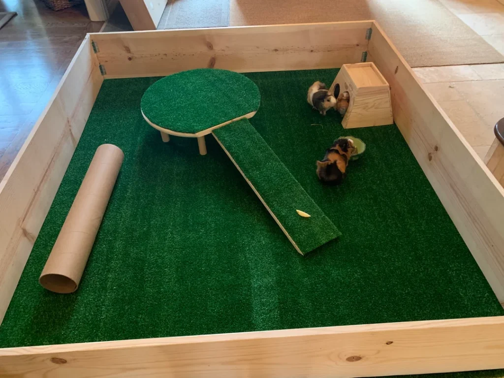 diy guinea pig playpen with card board